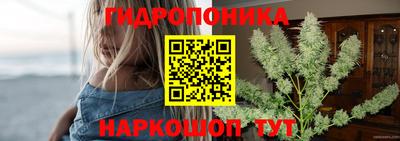 шишки Кимры