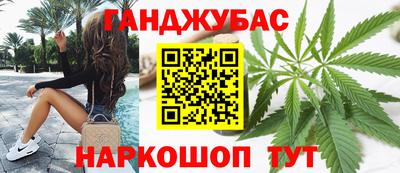 шишки Кимры